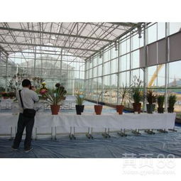 【花卉市场温室大棚工程建造商造价行情走势】- 