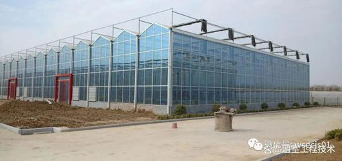 玻璃温室大棚建造流程