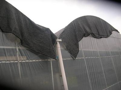 供应天津建筑工地防尘网//绿色遮阳网_环保服务_环境服务_其它环境服务_产品库_中国环保在线