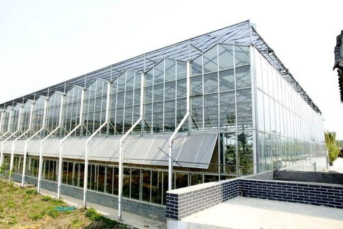 玻璃温室大棚建设一亩地造价多少钱