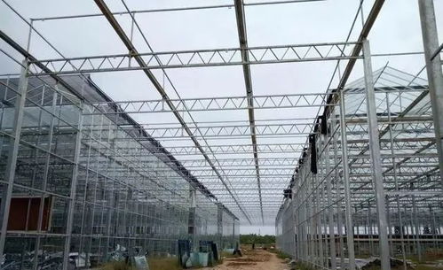 智能温室建造 温室大棚施工建造都有哪些步骤