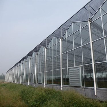 热带水果种植基地温室大棚项目