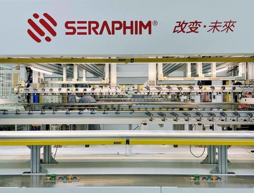 赛拉弗10gw光伏组件生产基地签约及开工仪式在安徽金寨举行